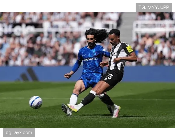 英超纽卡切尔西 英超纽卡切尔西